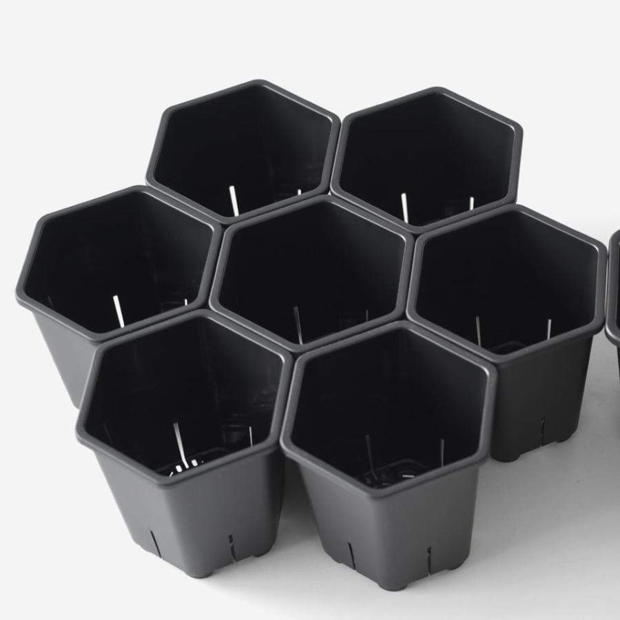Hexa Pot 4号／植木鉢 スリット鉢 サークリング防止 通気 排水 作業