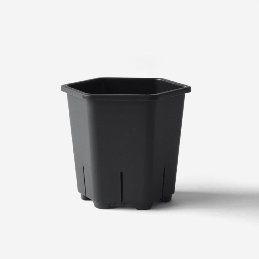 Hexa Pot 4号／植木鉢 スリット鉢 サークリング防止 通気 排水 作業