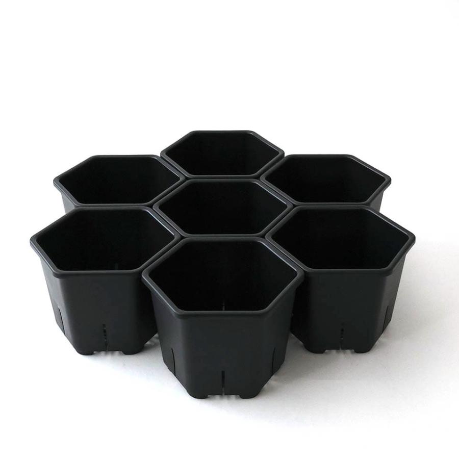 Hexa Pot 5号／植木鉢 スリット鉢 サークリング防止 通気 排水 作業