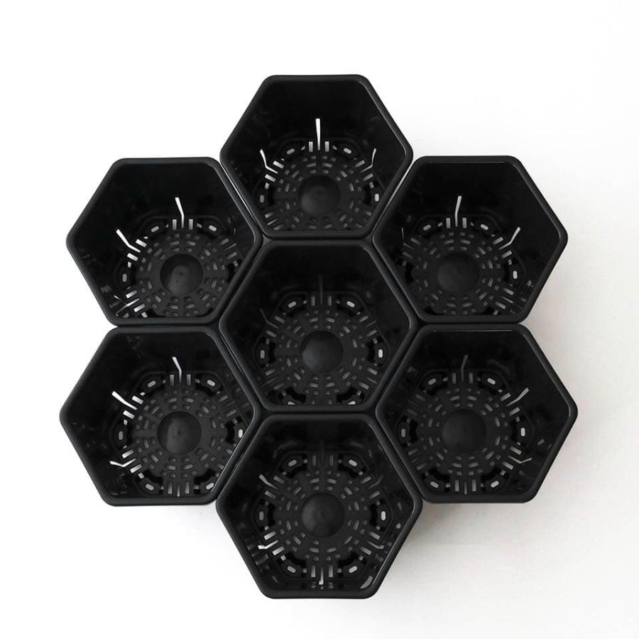 Hexa Pot 5号／植木鉢 スリット鉢 サークリング防止 通気 排水 作業