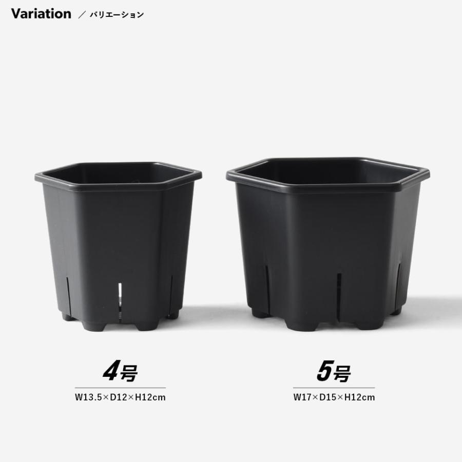 Hexa Pot 5号／植木鉢 スリット鉢 サークリング防止 通気 排水 作業