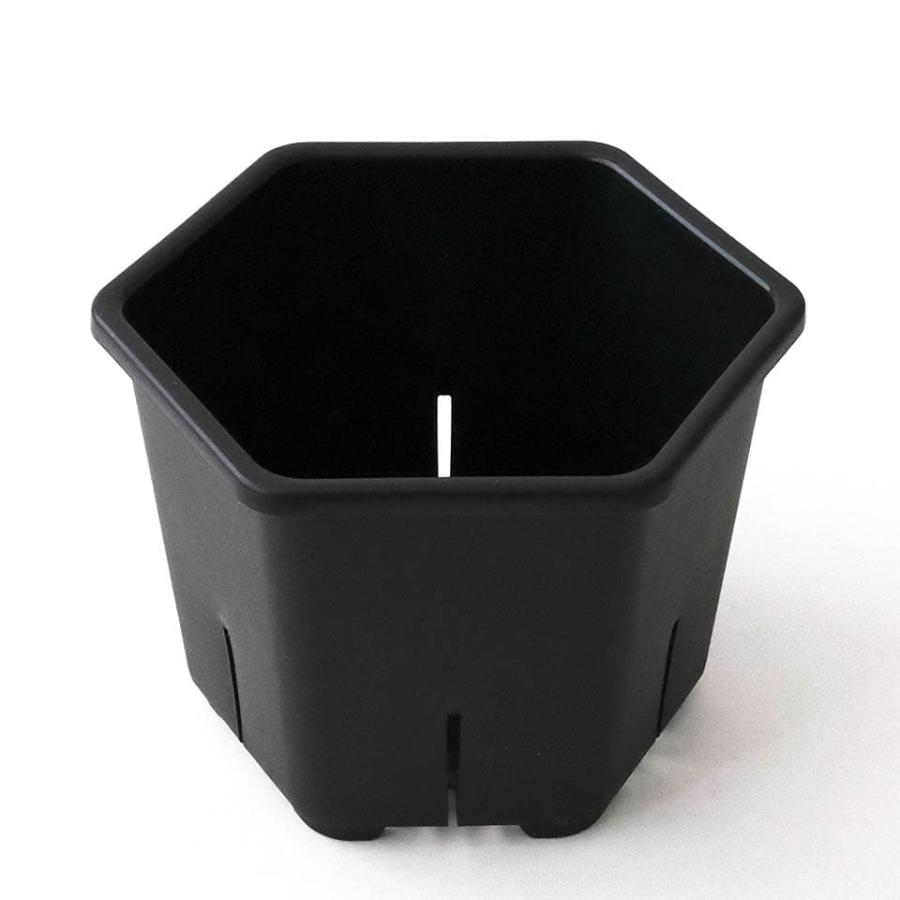 Hexa Pot 5号／植木鉢 スリット鉢 サークリング防止 通気 排水 作業