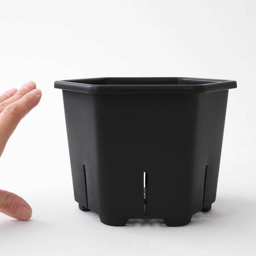 Hexa Pot 5号／植木鉢 スリット鉢 サークリング防止 通気 排水 作業