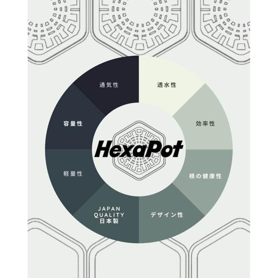 Hexa Pot 5号／植木鉢 スリット鉢 サークリング防止 通気 排水 作業