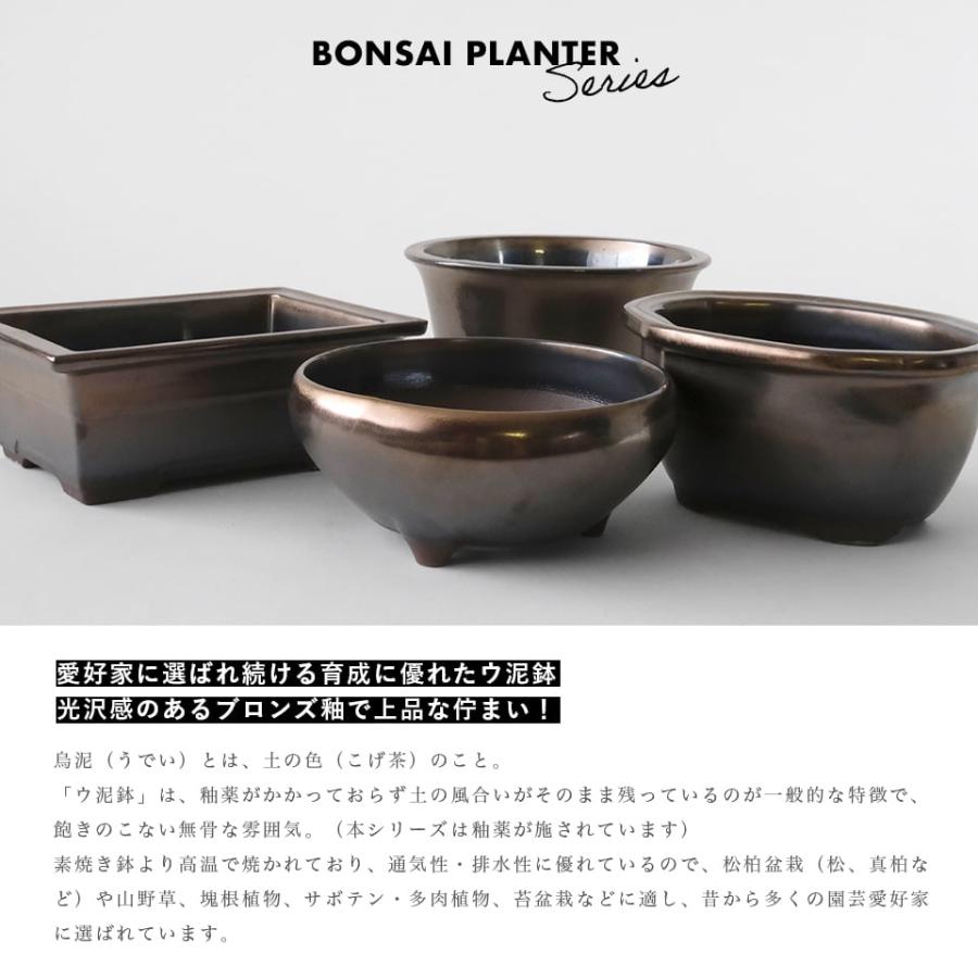 BONSAI PLANTER【 MOKKO 】 ブロンズ W17cm×H8.5cm 陶器 植木鉢 ウ泥鉢