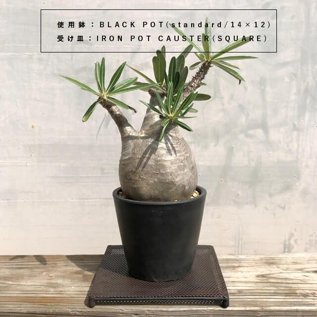 ポットコースター【スクエアタイプ】シンプル アイアン 鉄 パンチング