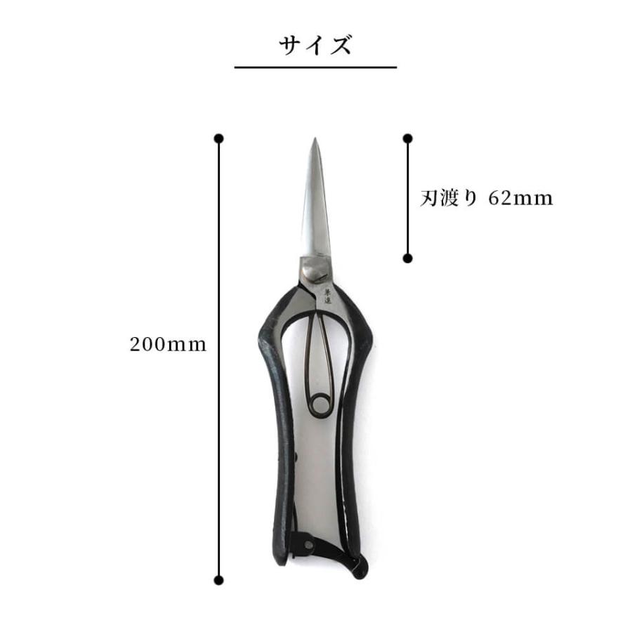 兼進作 剪定鋏【No.95D】 摘果 採果 両刃 芽切り 小枝切 芽摘み 根切り