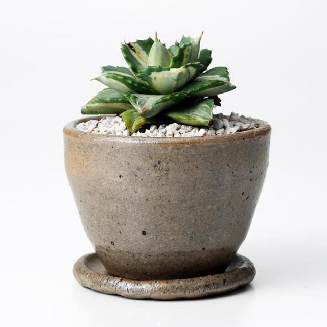 常滑焼【 Lisse 】φ12×H8.5cm 植木鉢 受皿付 4号 シンプル 陶器 渋い