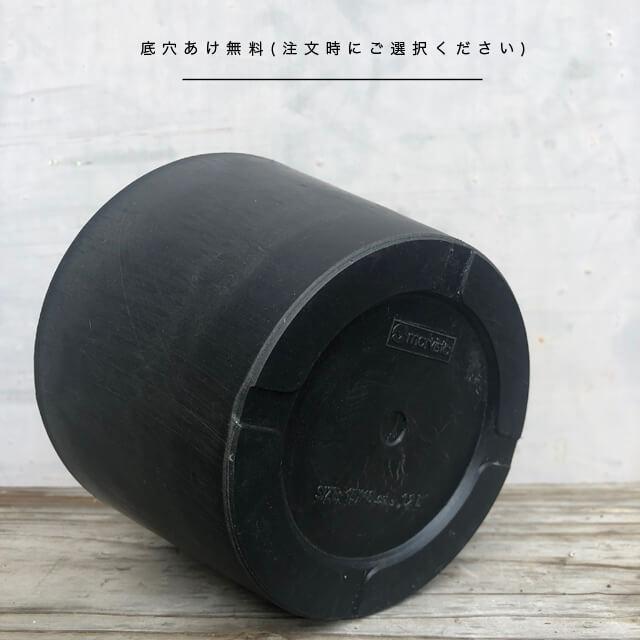 5個セット】BLACK PLASTIC POT【LOW TYPE】15cm×10cm 黒 プラ鉢 5個セット】BLACK PLASTIC POT【LOW TYPE】15cm×10cm 黒 プラ鉢