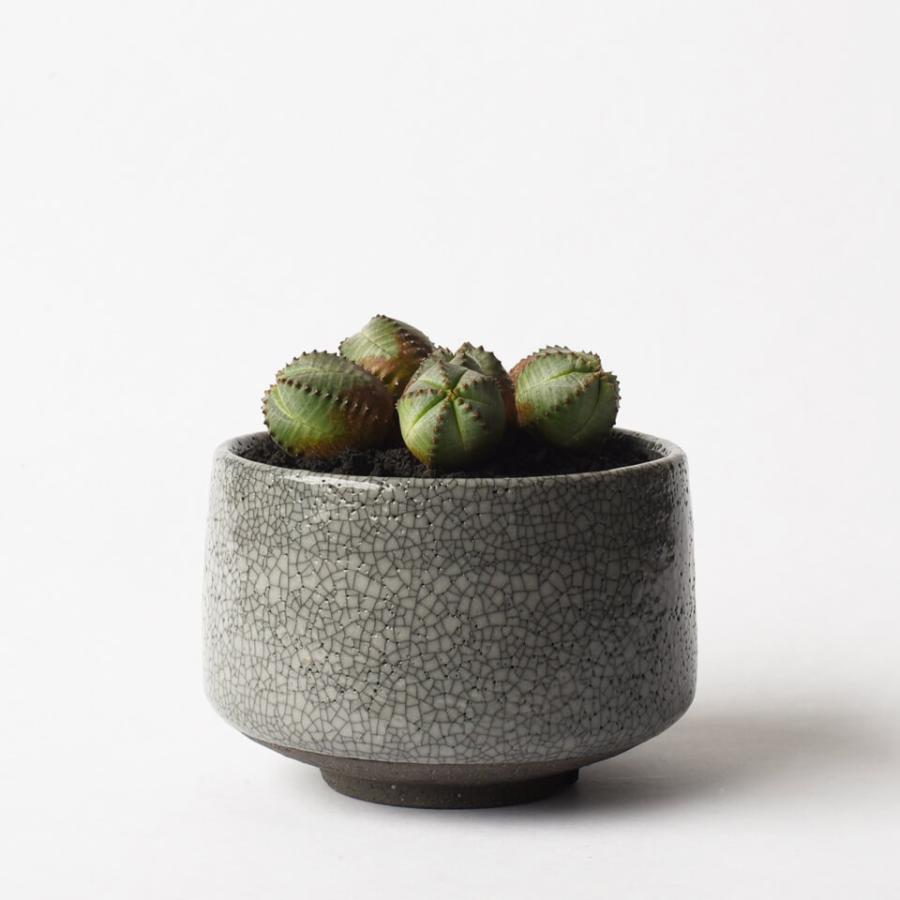 美濃焼 MATCHA-POT【 Crack 】グレー φ12×H8cm 植木鉢 受皿付 4号