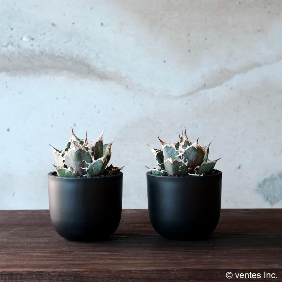 Maceta PlasticPot／BowlLong【Size4】Φ87mm×H77mm 内径77mm マセタ