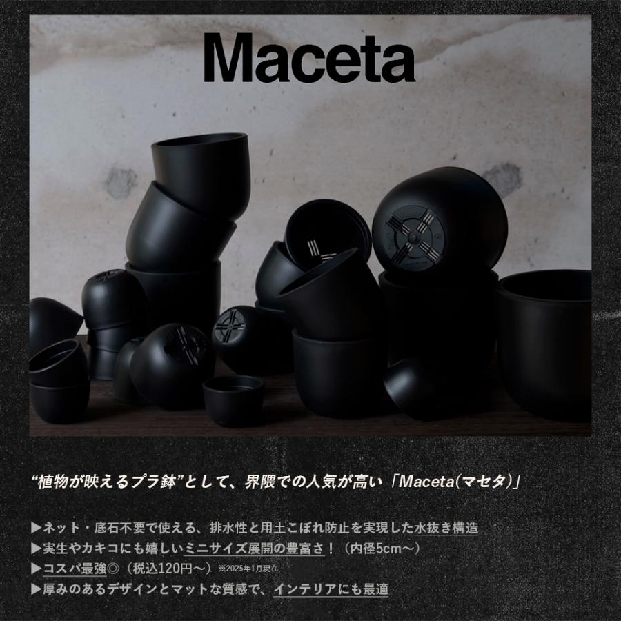 Maceta PlasticPot／BowlLong【Size4】Φ87mm×H77mm 内径77mm マセタ