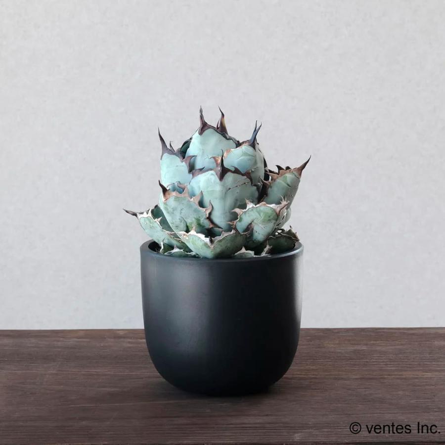 Maceta PlasticPot／BowlLong【Size6】Φ116mm×H104mm 内径104mm マセタ