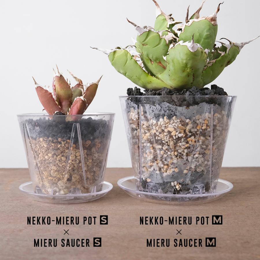 MIERU SAUCER【 Mサイズ 】4号 12cm 透明 クリア 受け皿 鉢皿 SCOOP