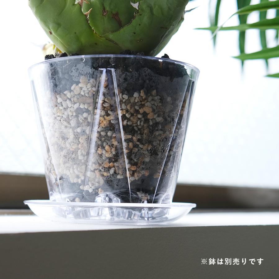 MIERU SAUCER【 Mサイズ 】4号 12cm 透明 クリア 受け皿 鉢皿 SCOOP