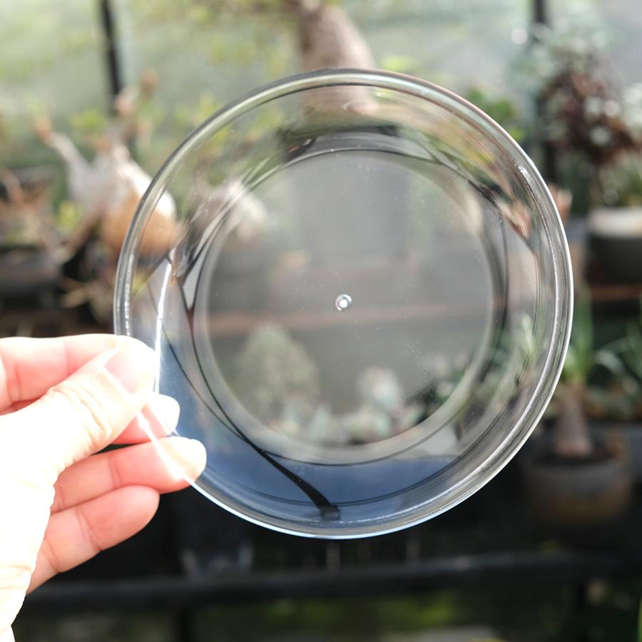 MIERU SAUCER【 Mサイズ 】4号 12cm 透明 クリア 受け皿 鉢皿 SCOOP