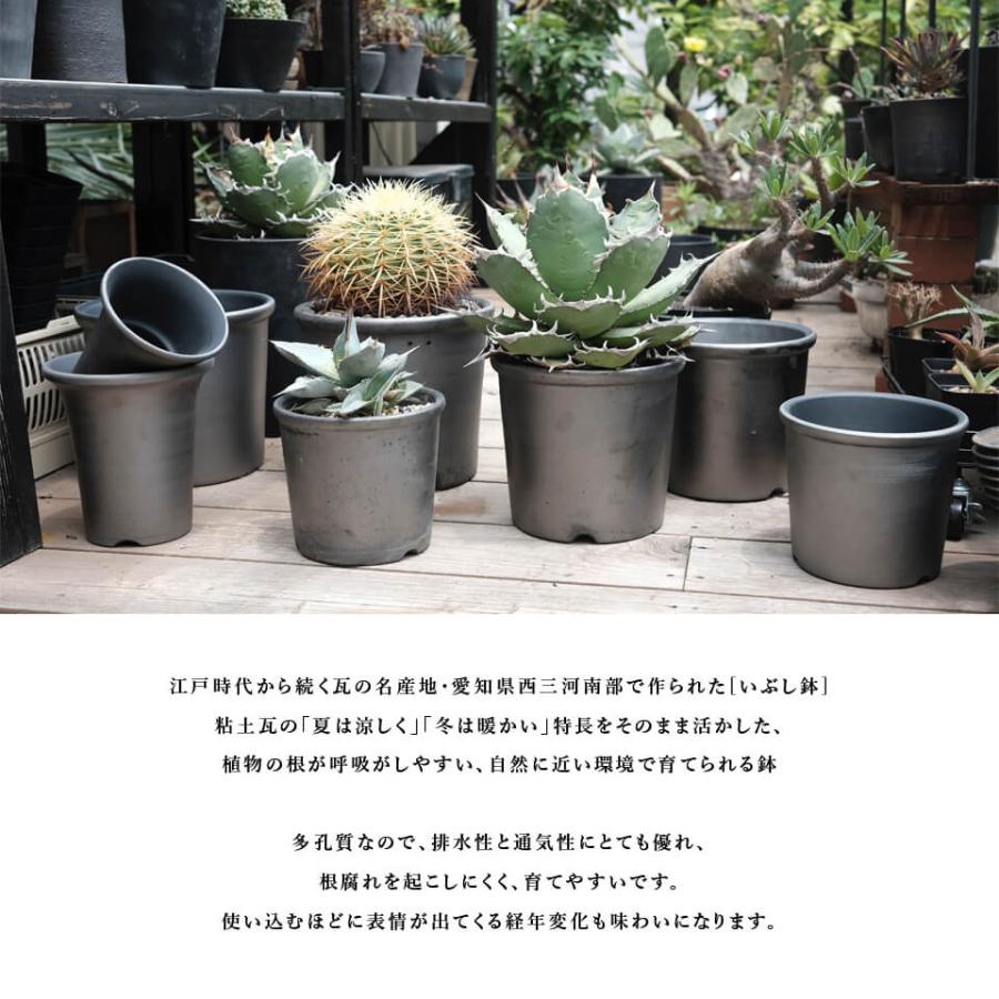 SMOKED POT【 菊鉢 】6号 Φ19.5cm×H17cm 陶器 植木鉢 いぶし鉢 SMOKED POT【 菊鉢 】6号 Φ19.5cm×H17cm 陶器 植木鉢 いぶし鉢