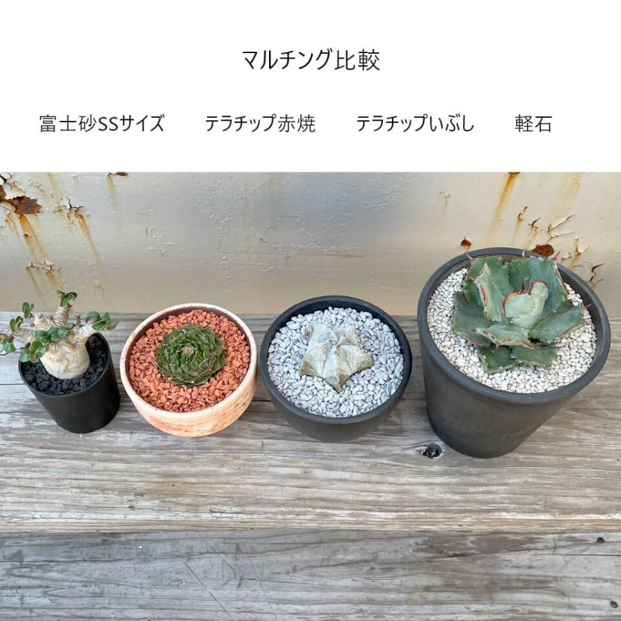 テラチップ【GRAY】600ml いぶし 化粧石 化粧砂 多孔質 用土 水はけ