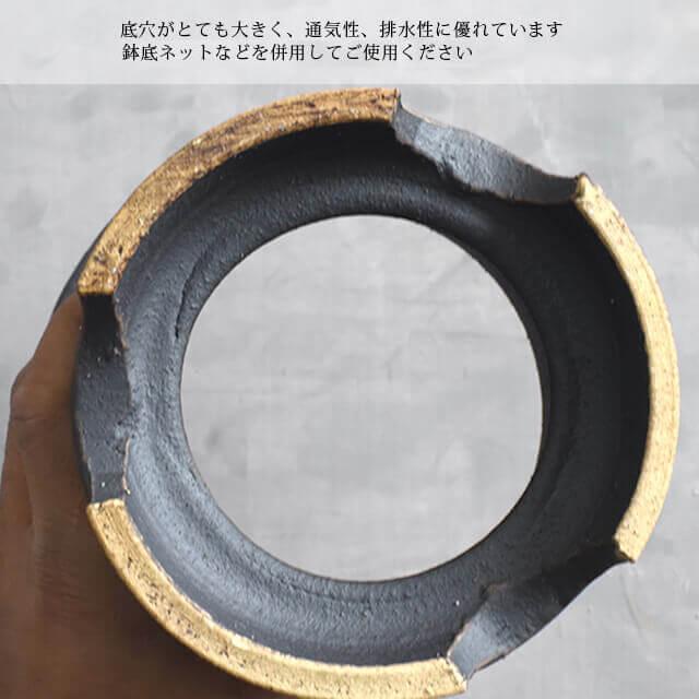 KAMIYAMA -OMOTO- POT【金彩 6.5号】19.5cm×17.5cm かみ山陶器 万年青