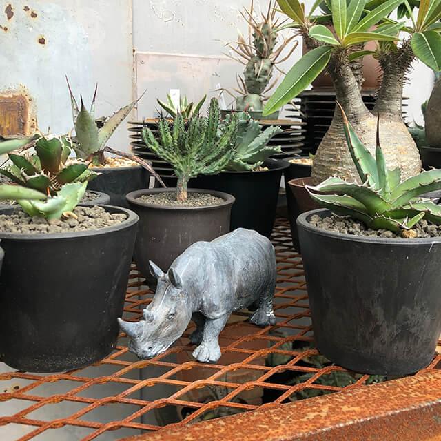 オブジェ オーナメント【サイ】犀 動物 ガーデニング 置物 シンプル