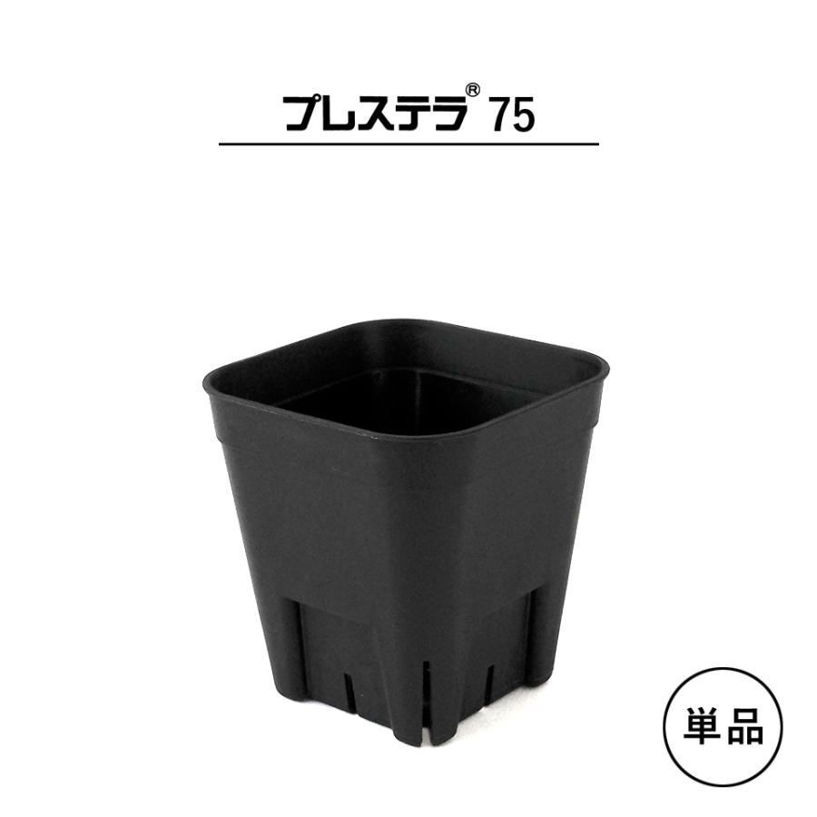 単品】プレステラ【 75 】64mm×57mm 2.5号 黒 スリット鉢 プラ鉢 育成