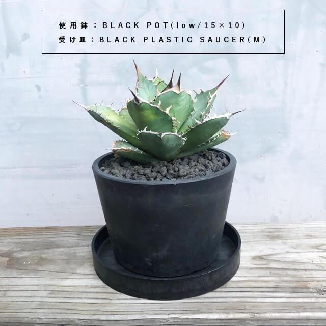 BLACK PLASTIC SAUCER【SIZE:M】16cm ブラックポット 受け皿 ソーサー
