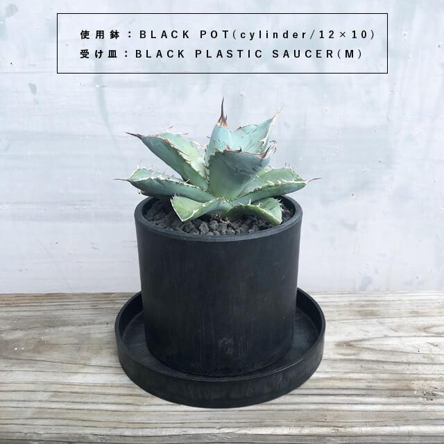 BLACK PLASTIC SAUCER【SIZE:M】16cm ブラックポット 受け皿 ソーサー