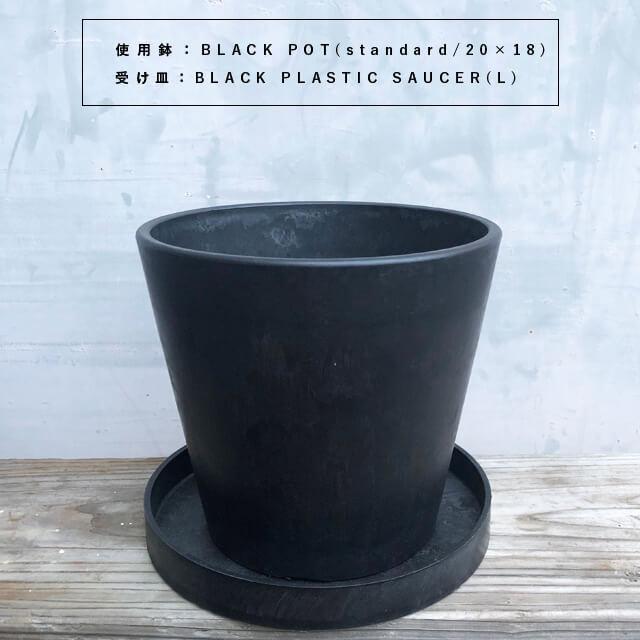 BLACK PLASTIC SAUCER【SIZE:L】21cm ブラックポット 受け皿 ソーサー
