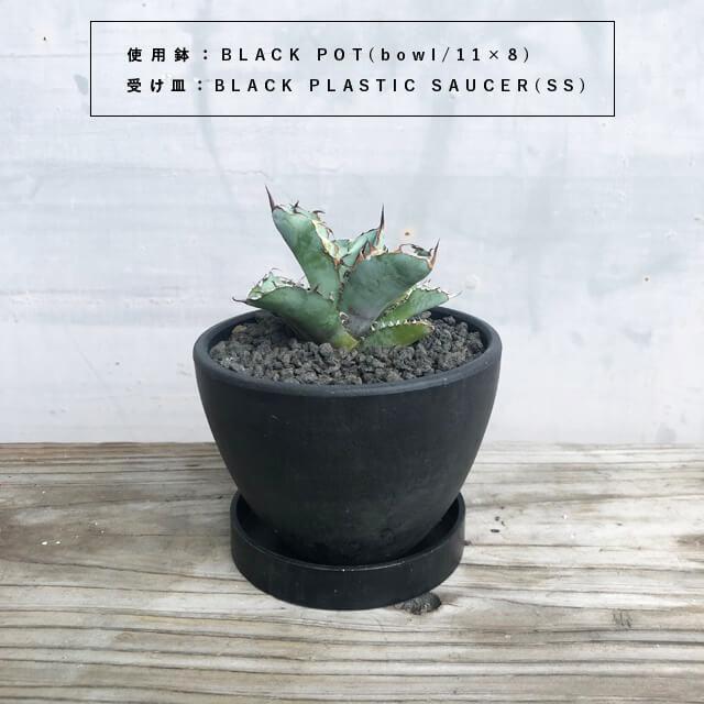 BLACK PLASTIC SAUCER【SIZE:SS】9cm ブラックポット 受け皿 ソーサー