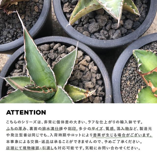 BLACK PLASTIC POT【SHALLOW TYPE】25.5cm×10cm 黒 プラ鉢 8.5号