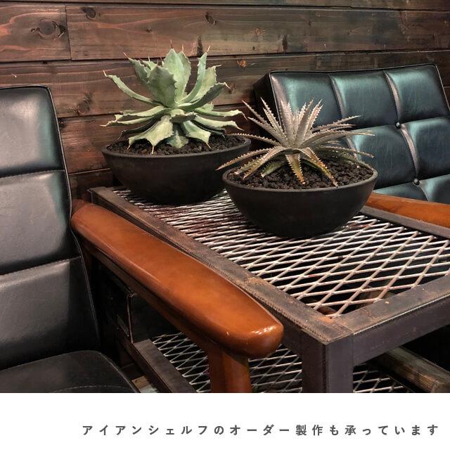 BLACK PLASTIC POT【SHALLOW TYPE】25.5cm×10cm 黒 プラ鉢 8.5号 BLACK PLASTIC POT【SHALLOW TYPE】25.5cm×10cm 黒 プラ鉢 8.5号