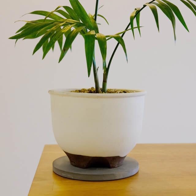 soil 珪藻土 POT COASTER【CIRCLE】2枚セット ソイル ポット soil 珪藻土 POT COASTER【CIRCLE】2枚セット ソイル ポット