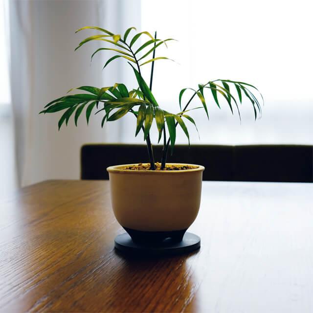 【特価商品】soil 珪藻土 プランターカバー ブラック 日本製 soil 珪藻土 鉢カバー プランターカバー インテリア ソイル
