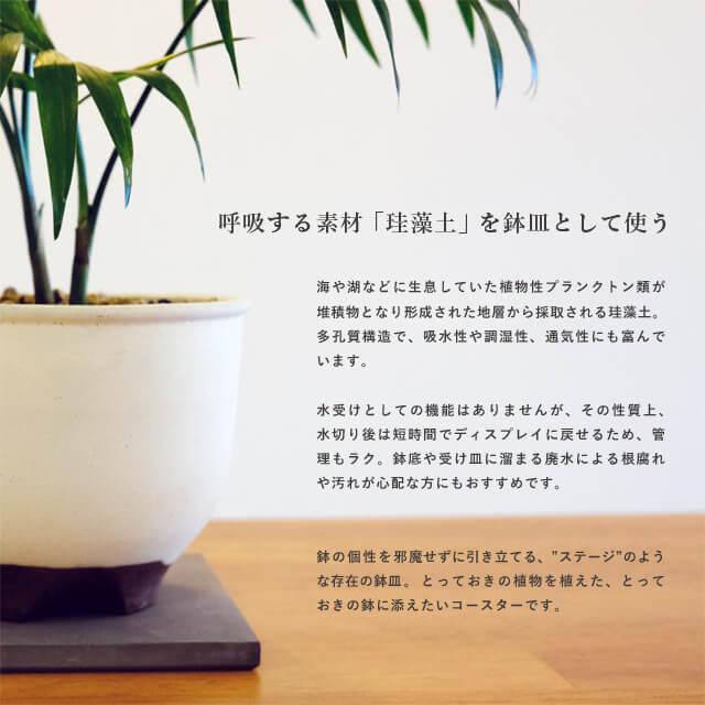 soil 珪藻土 POT COASTER【CIRCLE】2枚セット ソイル ポット soil 珪藻土 POT COASTER【CIRCLE】2枚セット ソイル ポット