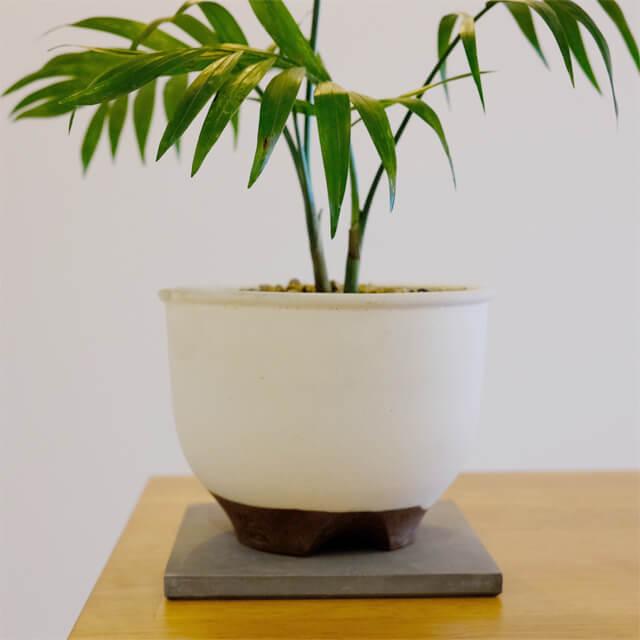 soil 珪藻土 POT COASTER【SQUARE】2枚セット ソイル ポットコースター