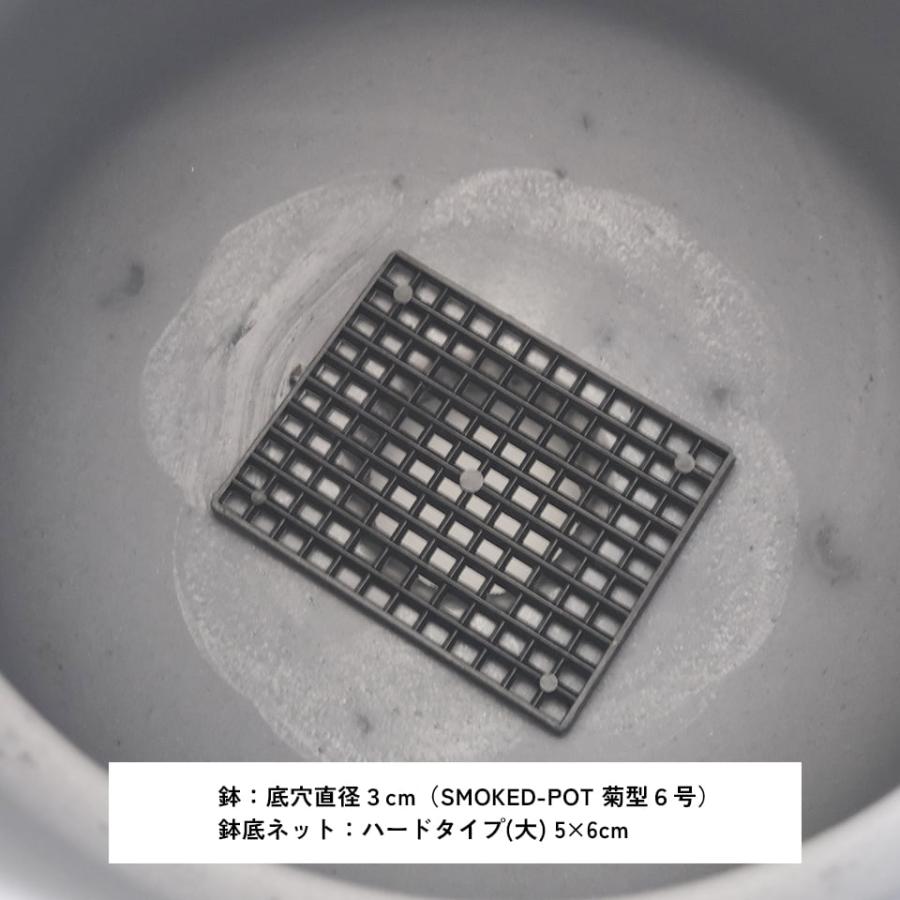そのまま使える 鉢底ネット ハードタイプ（大）5cm×6cm 厚み3mm【10枚