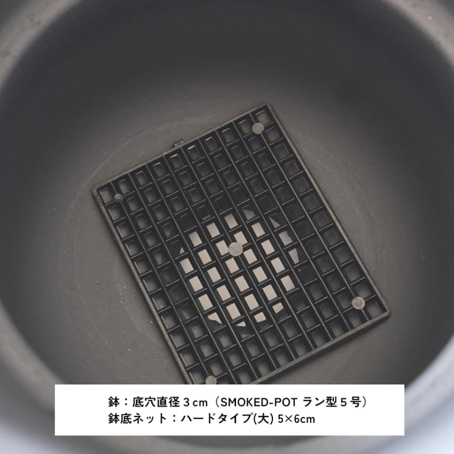 そのまま使える 鉢底ネット ハードタイプ（大）5cm×6cm 厚み3mm【10枚
