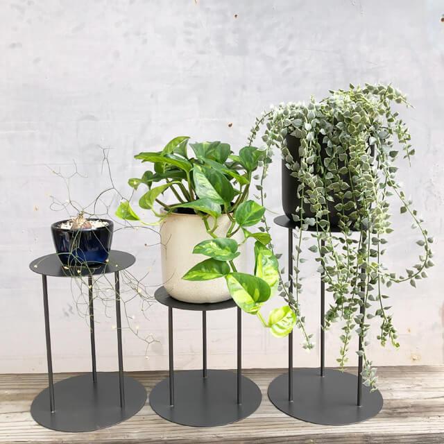 IRON STAND POLE【 M 】高さ20 cm スタンドポール ポットスタンド 鉢台