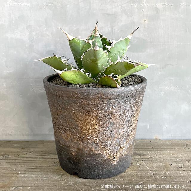KAMIYAMA -STANDARD- POT【金彩 5号】15cm×13cm かみ山陶器 信楽焼