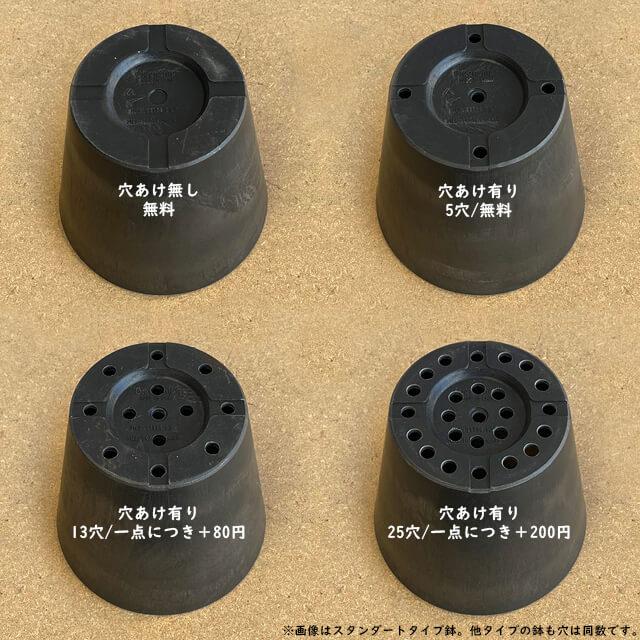 BLACK PLASTIC POT【STANDARD TYPE】25.5cm×20cm 黒 プラ鉢 8号