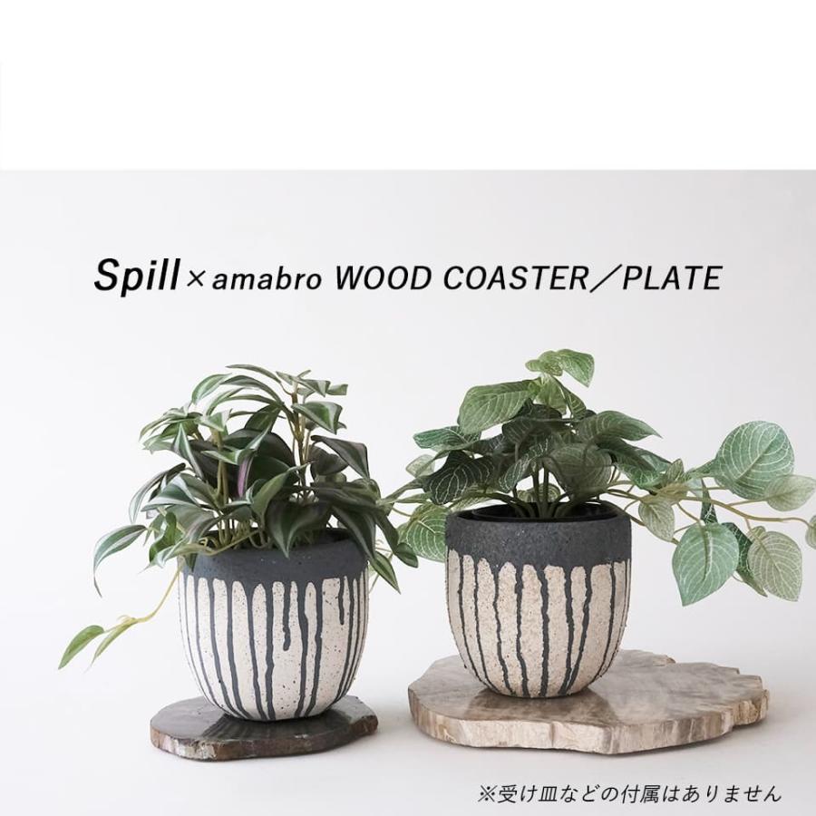 Spill／植木鉢 セメント鉢 鉢カバー 3号 4号 直径12cm オフホワイト