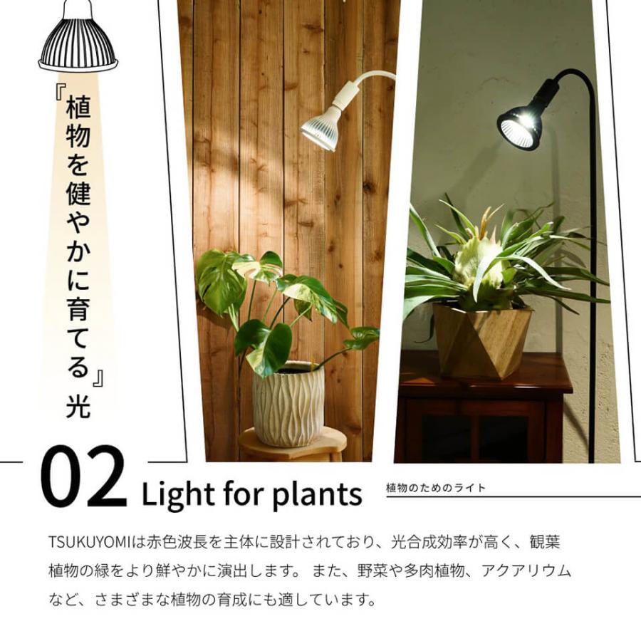 植物育成ライト　BARREL TSUKUYOMI LED 20W2個セット TSUKUYOMI LED 20W BLACK EDITION（ツクヨミLED ブラックエディション