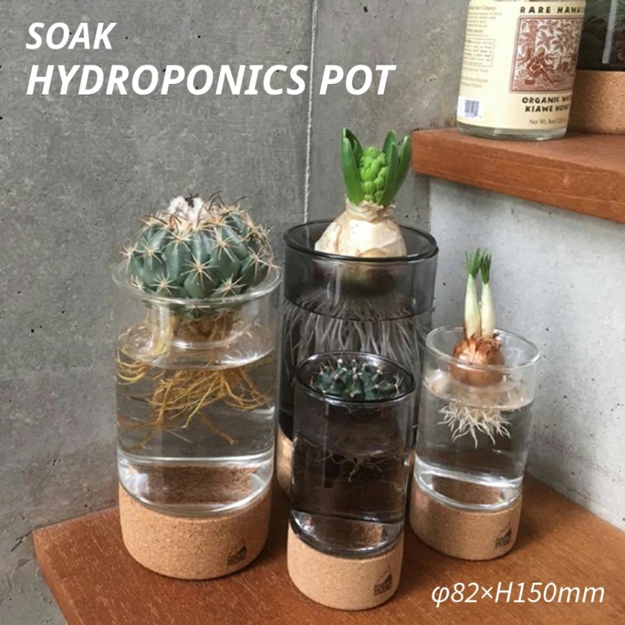 SOAK ハイドロポニクスポット 水耕栽培 球根 発根管理 多肉 SOAK ハイドロポニクスポット 水耕栽培 球根 発根管理 多肉