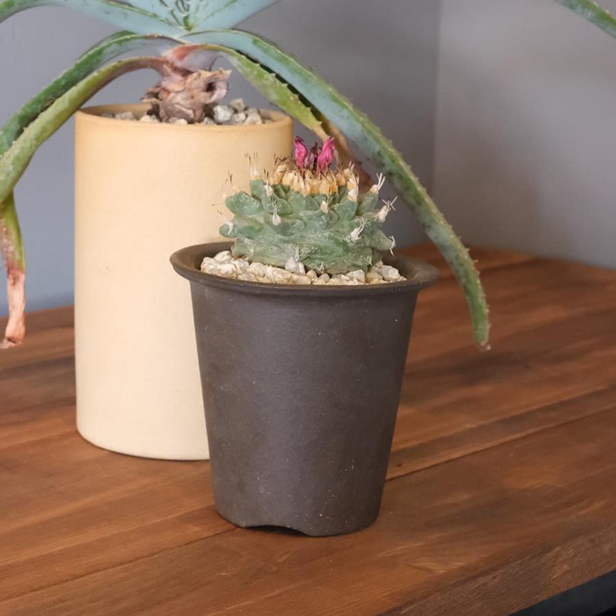 ウ泥ラン鉢【3.5号】荒目 Φ10cm×H10.5cm 素焼き 植木鉢 陶器 こげ茶色