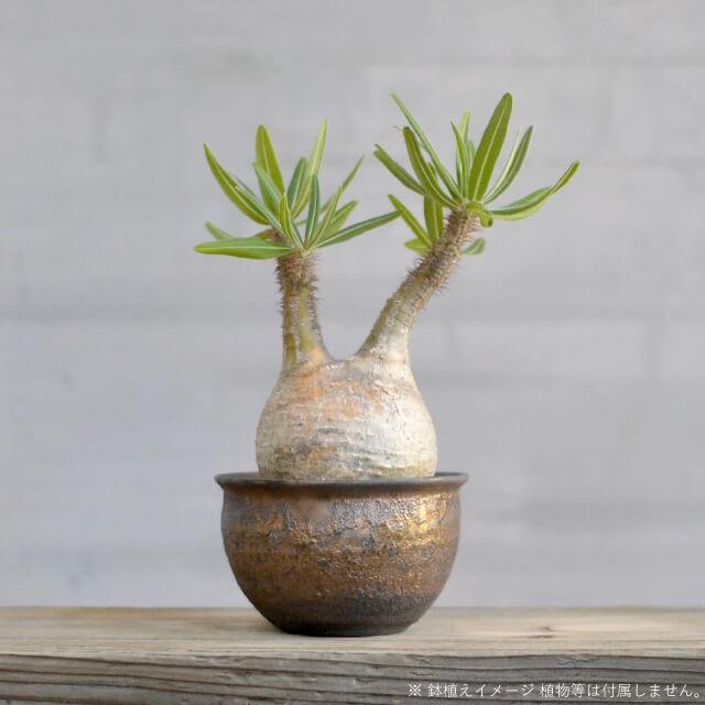 KAMIYAMA GOLD YOUHEN POT【金窯変 丸鉢 4号】ROUND TYPE 13cm×8cm