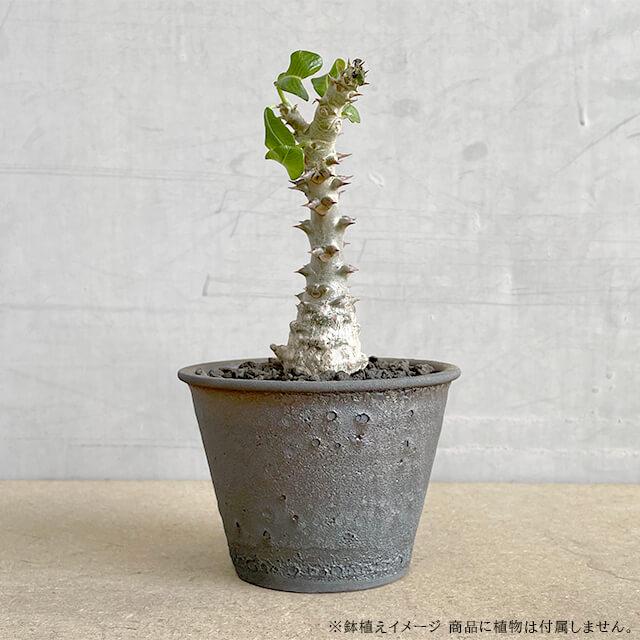 KAMIYAMA GOLD YOUHEN POT【金窯変スタンダード鉢 4号】 STANDARD TYPE