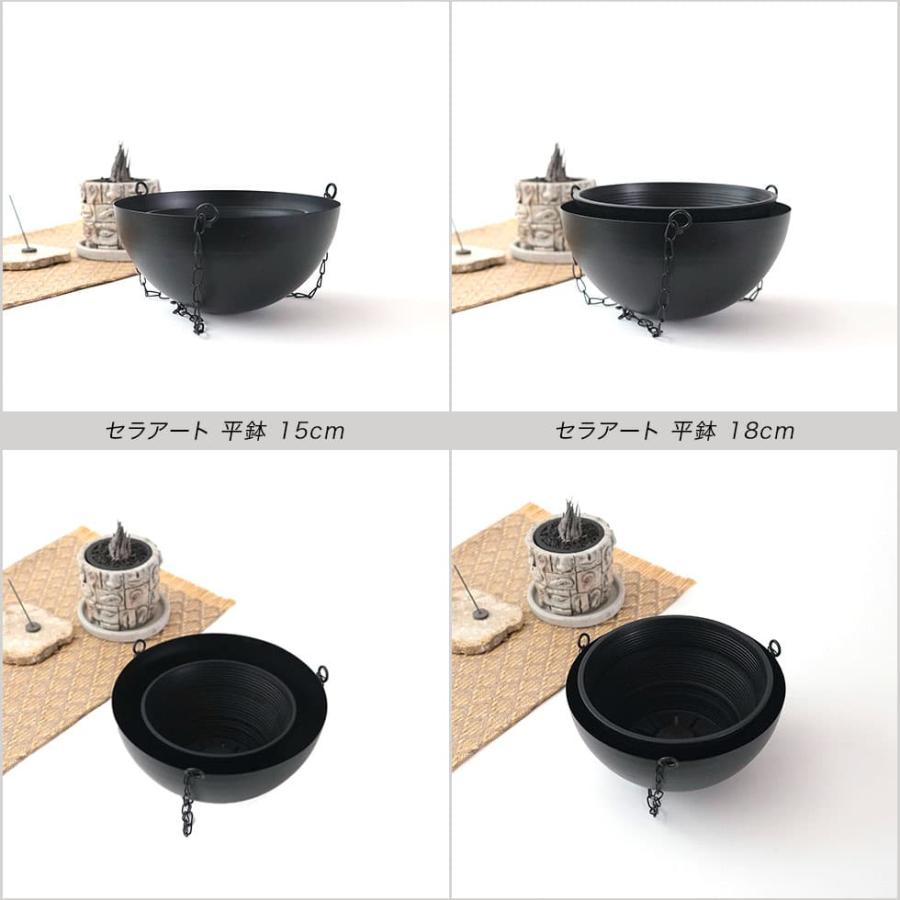 BLACK IRON HANG／ブラックアイアンハング ハンギングプランター 20cm