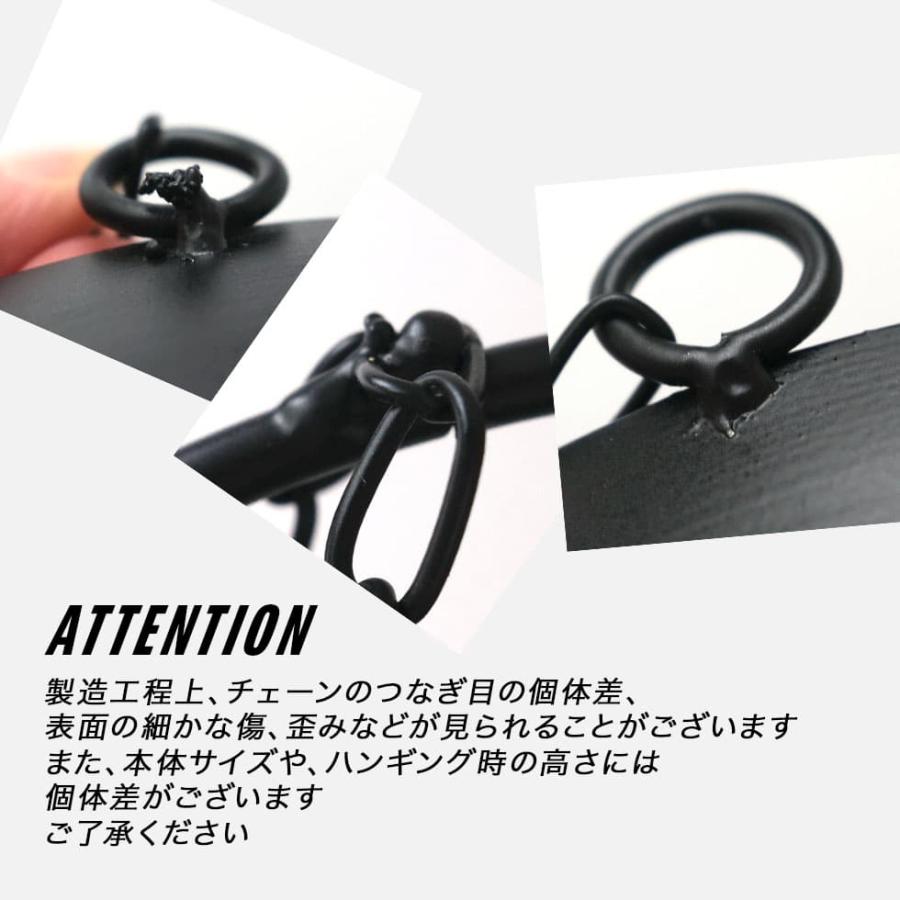 BLACK IRON HANG／ブラックアイアンハング ハンギングプランター 20cm
