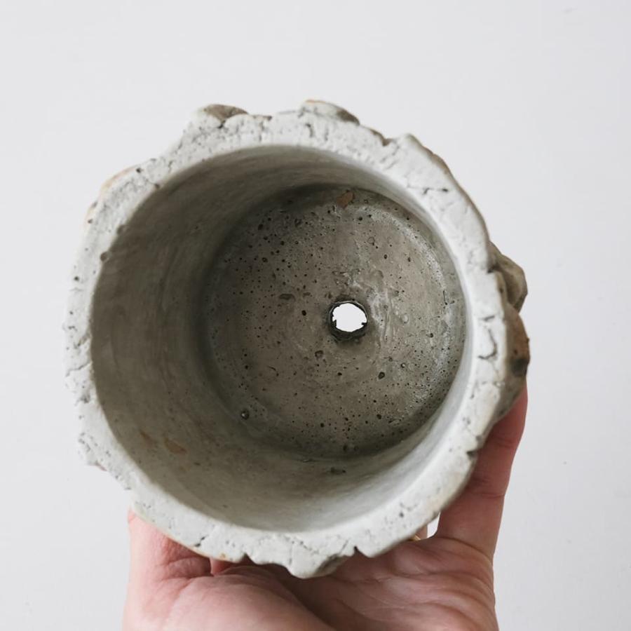 ゲルニカ／Φ10cm×H9cm 植木鉢 3号 受け皿付 ワイルド 個性的