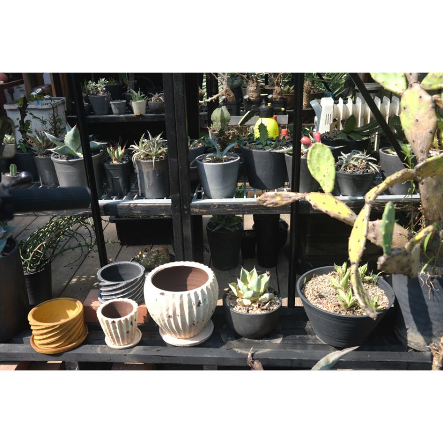 MARI-POT【サンドマーブル】植木鉢 陶器 4号 おしゃれ 北欧ガーデン